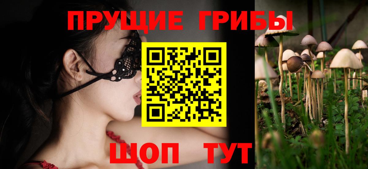Усть-Джегута  Галлюциногенные грибы Cubensis  Вход с VPN 