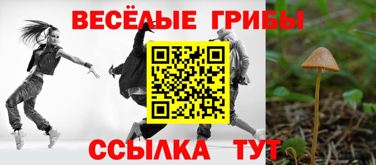 Псилоцибиновые грибы Psilocybine cubensis Усть-Джегута